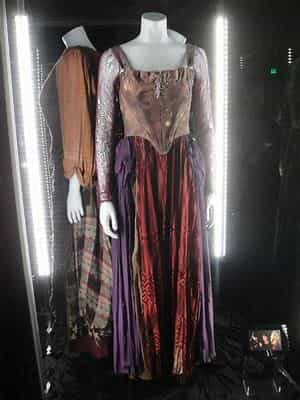 Costume of Sarah Anderson - Hocus Pocus for adults