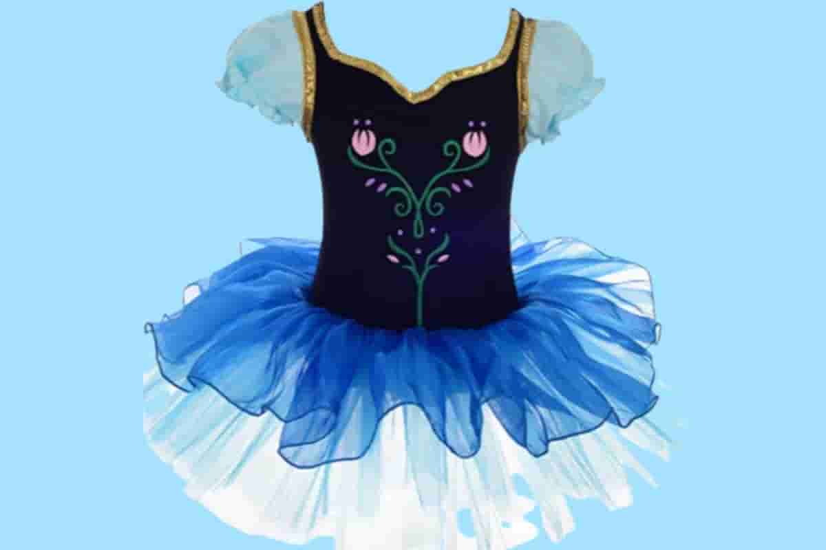 Dance Outfit Dressy Daisy Ballerina