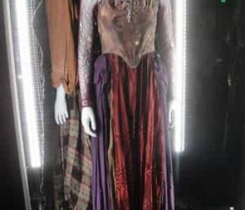 Costume of Sarah Anderson - Hocus Pocus for adults